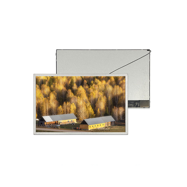12.1 Inch LVDS TFT LCD Display (1200x800)